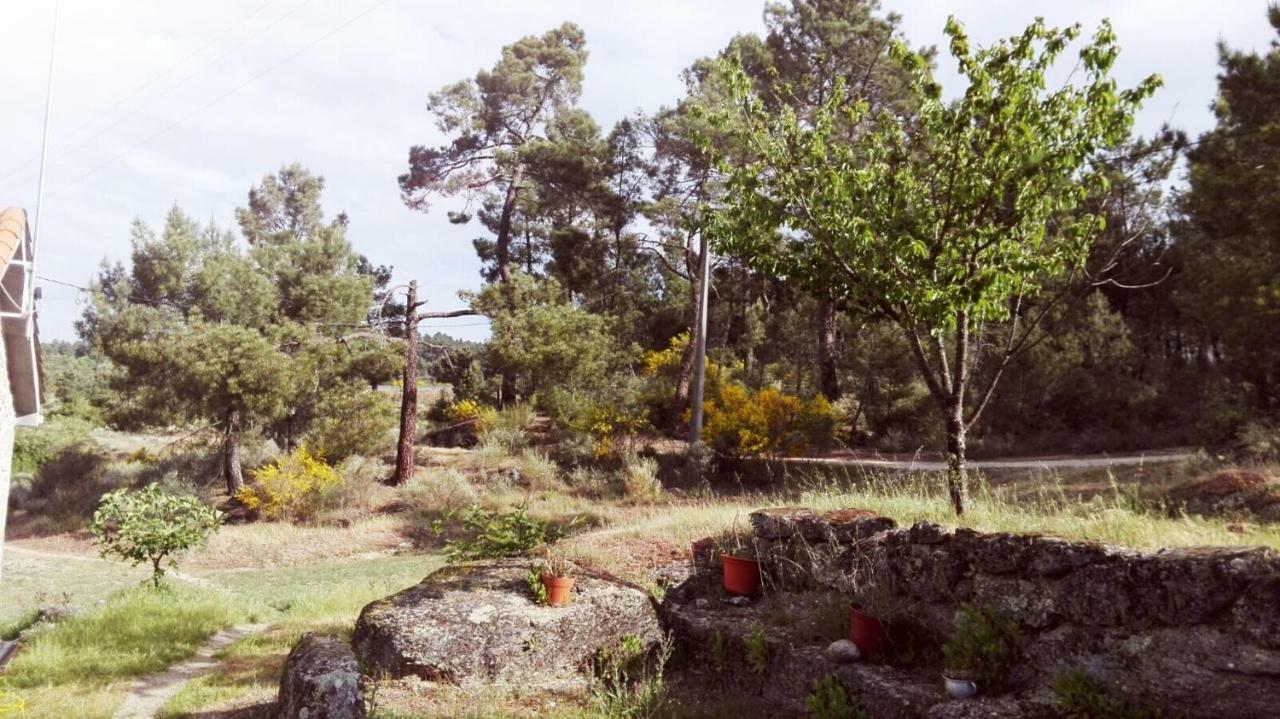 Casa De Malhoes Holiday home